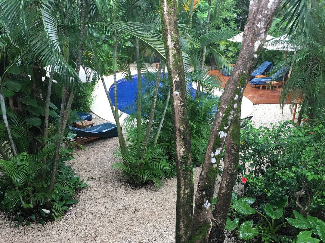 The Sunset Shack主图