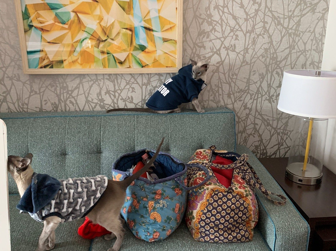 Home2 Suites by Hilton Ridley Park Philadelphia Airport South主图