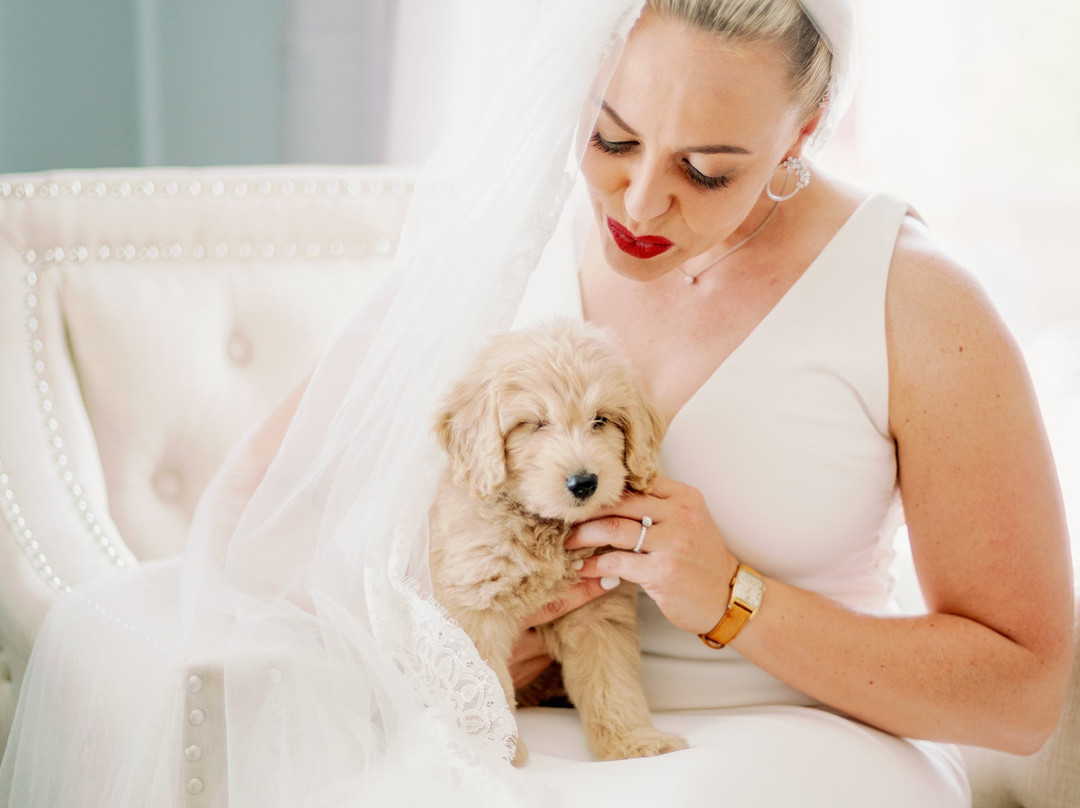 The Jarvis At 220主图