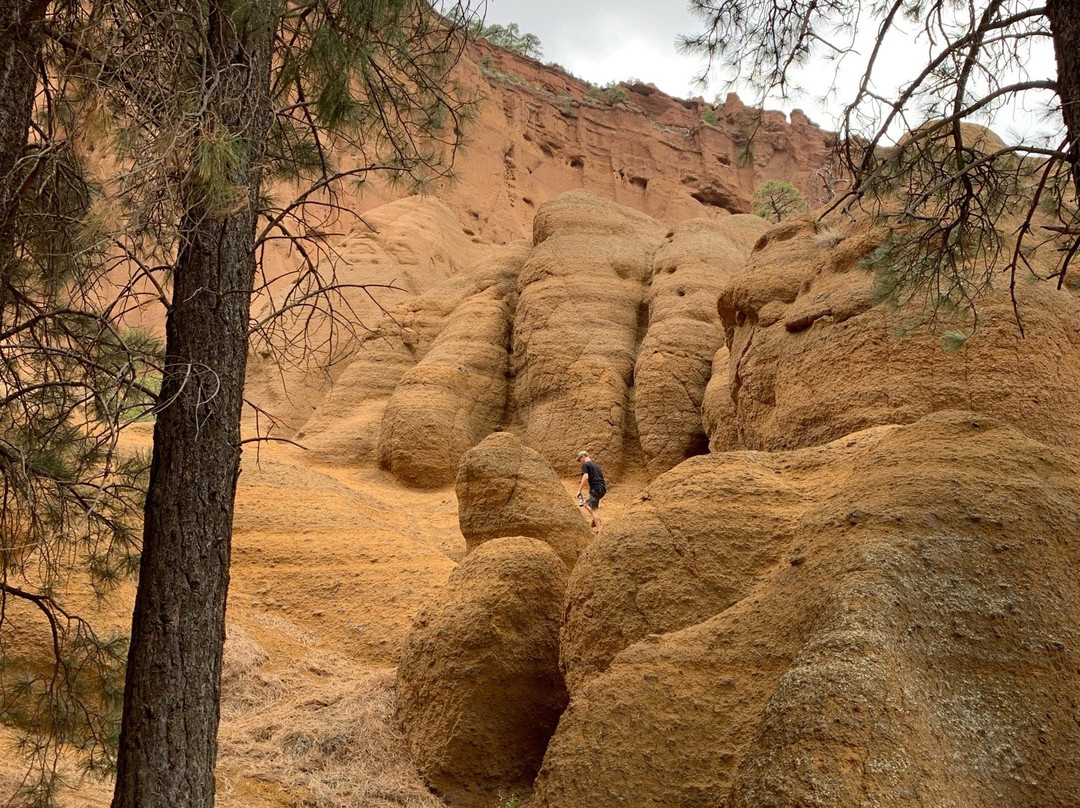 Red Mountain Trail-弗拉格斯塔夫必去景点