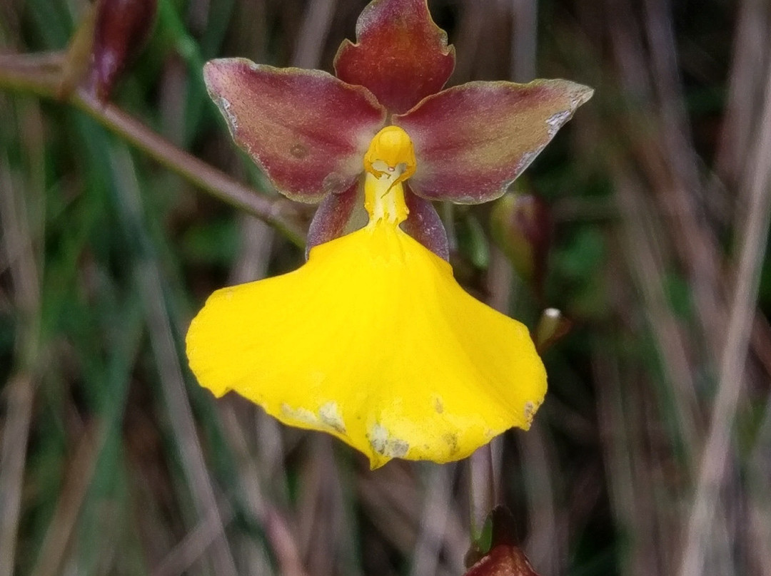 Peru Sensations-库斯科必去景点