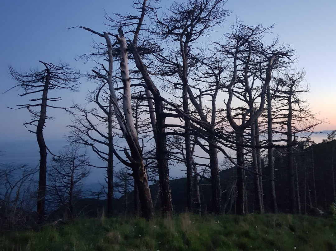 Ebike5terre-滨海蒙特罗梭必去景点