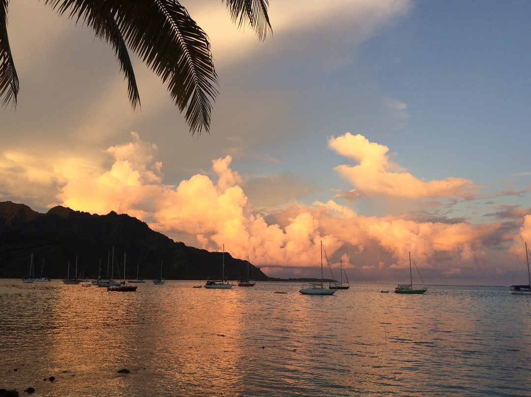 Janzu in Moorea - Enjoy the water experience景点图片