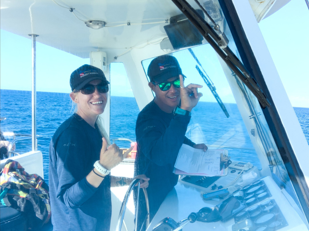 Blue Dolphin Charters-埃里埃利必去景点