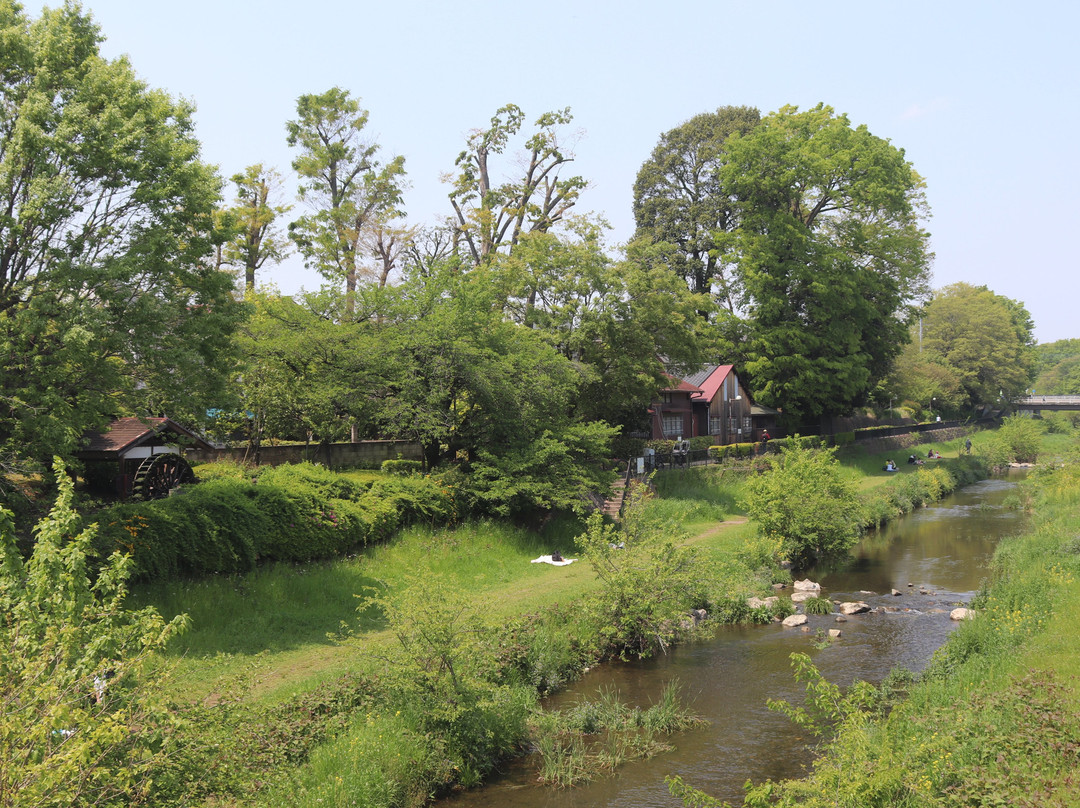 Nogawa River-三鹰市必去景点