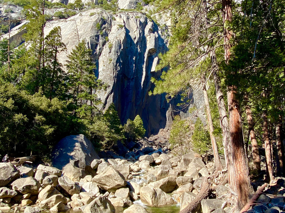 Lower Yosemite Fall Trail景点图片