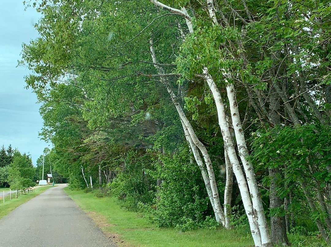 Argyle Shore Provincial Park景点图片