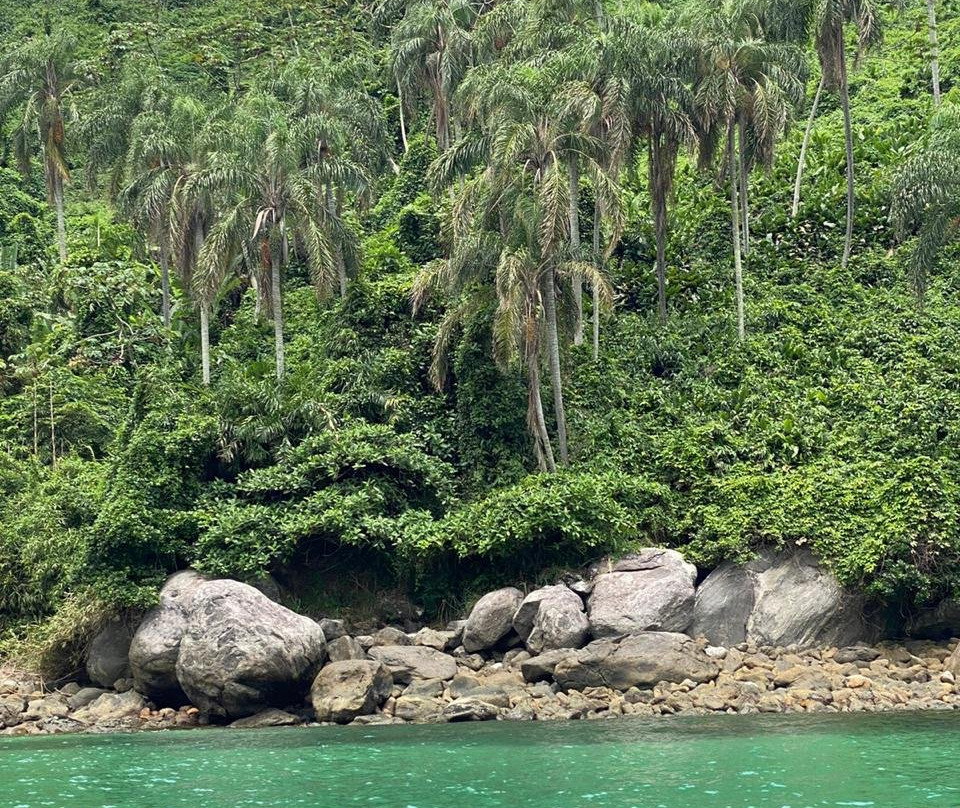 Camburi Beach景点图片