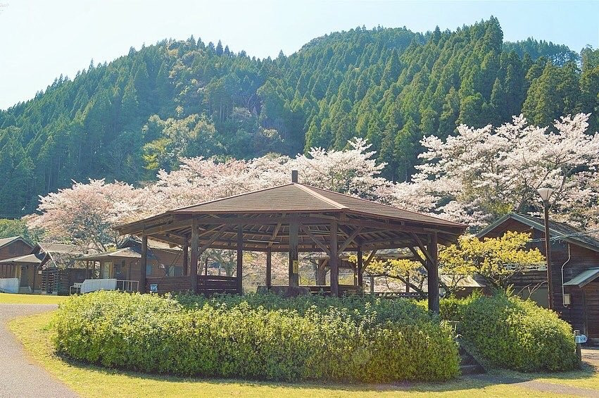 Naokawa Ikoi no Mori Park-佐伯市必去景点