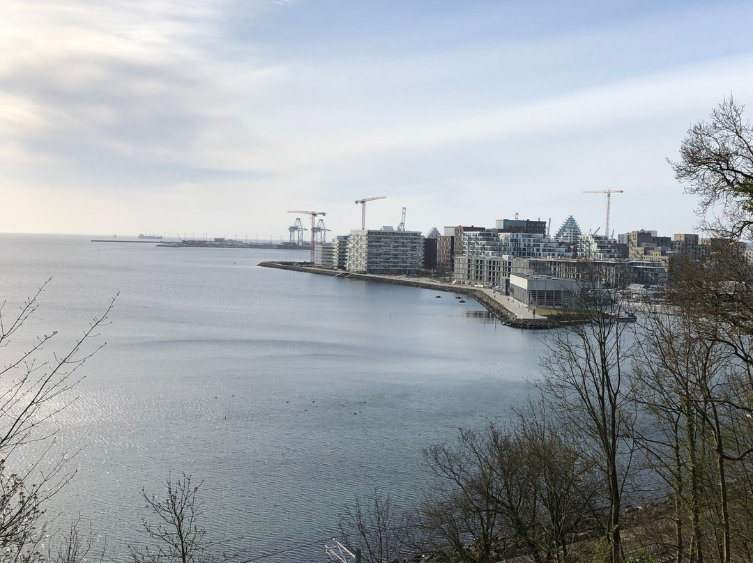 Udsigten i Riis Skov景点图片