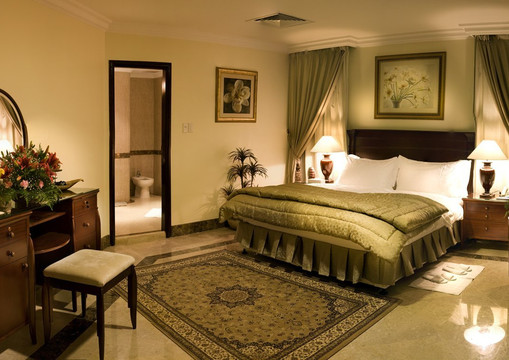 阿尔阿萨珊瑚酒店主图