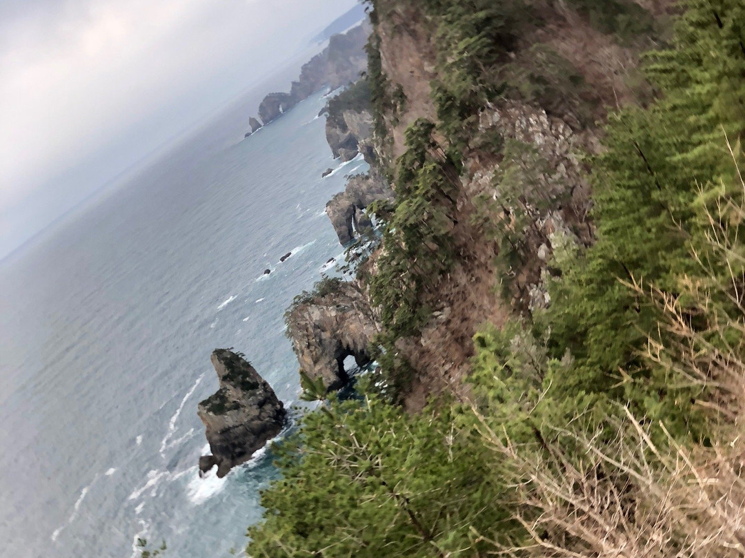 Kitayama Cape-田野畑村必去景点
