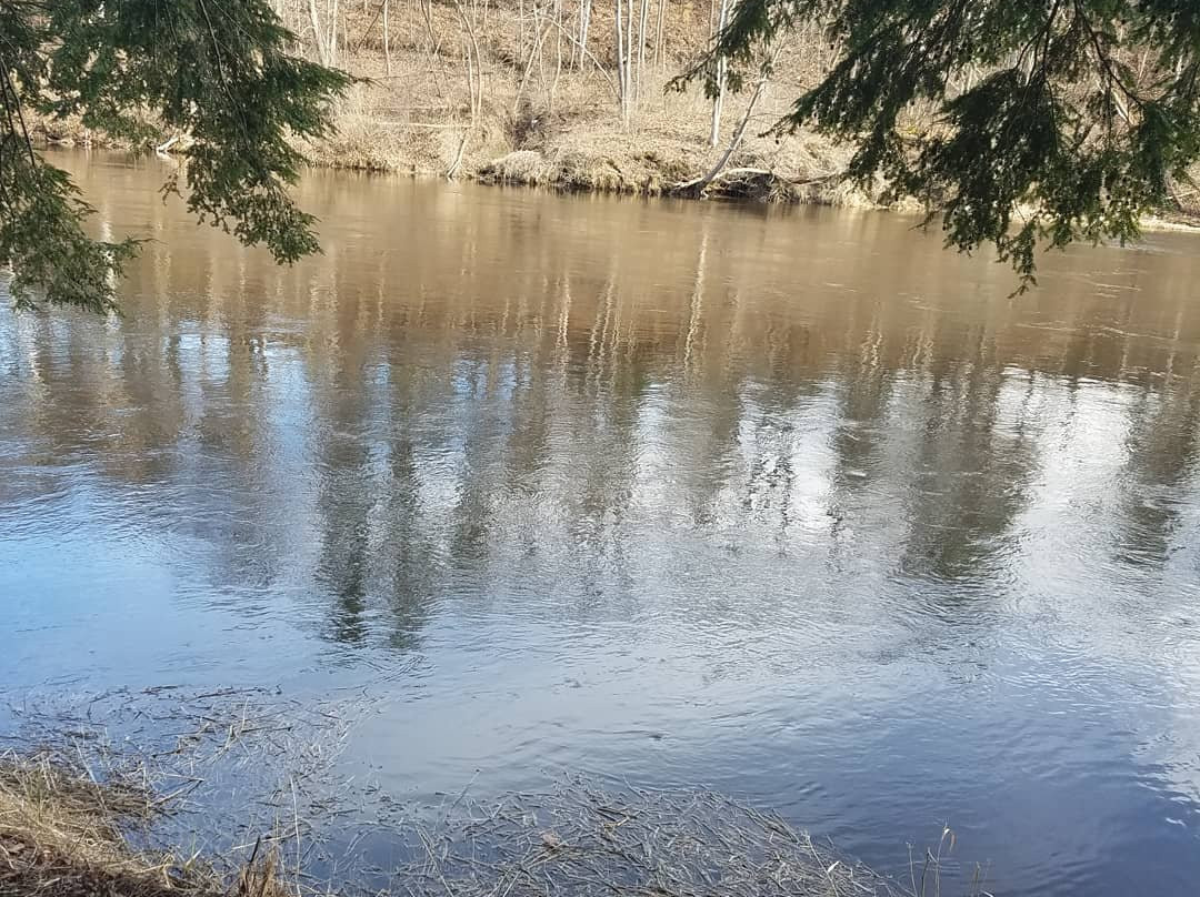 Poors Island Trails-Watertown必去景点