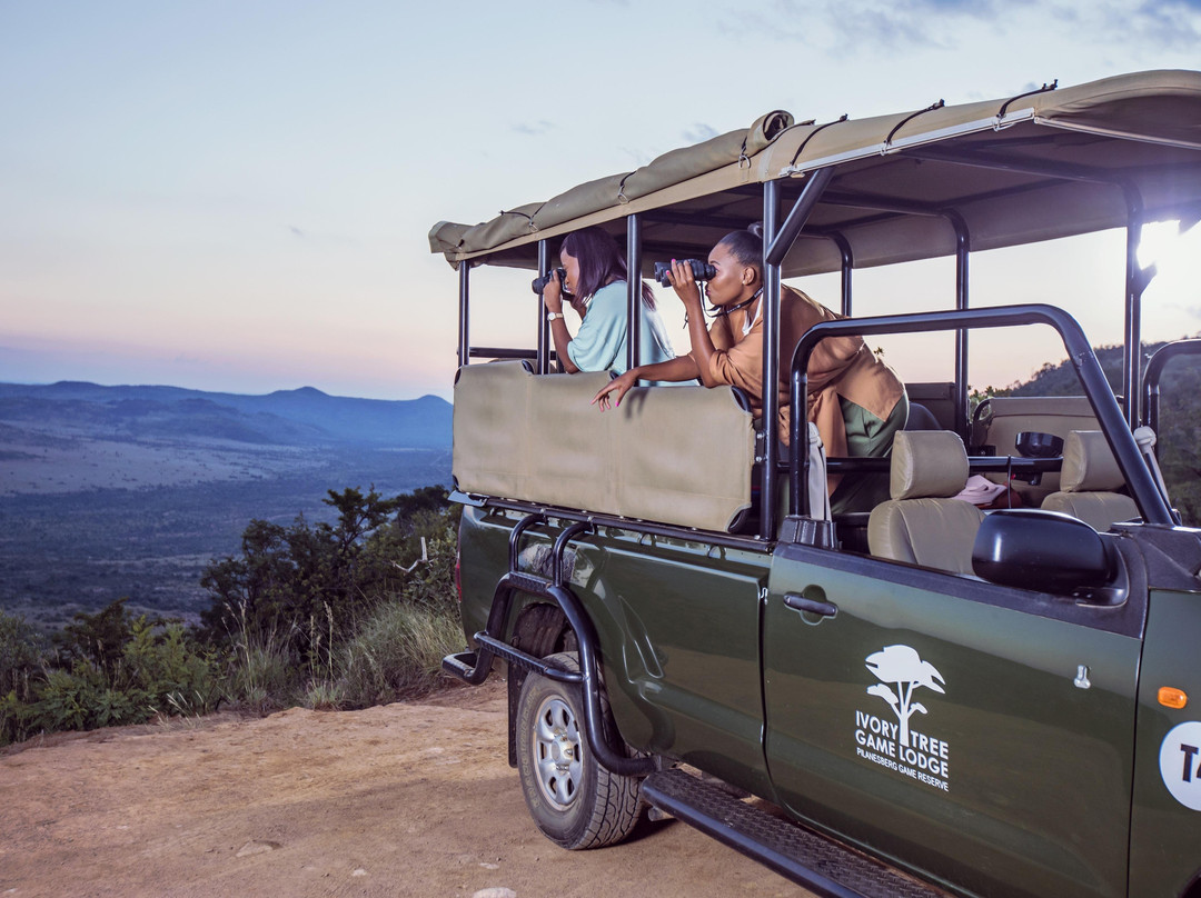 The Real South Africa-约翰内斯堡必去景点