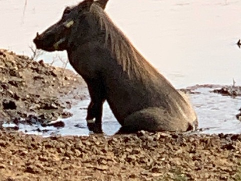 Lowveld Odyssey-霍德斯普鲁特必去景点