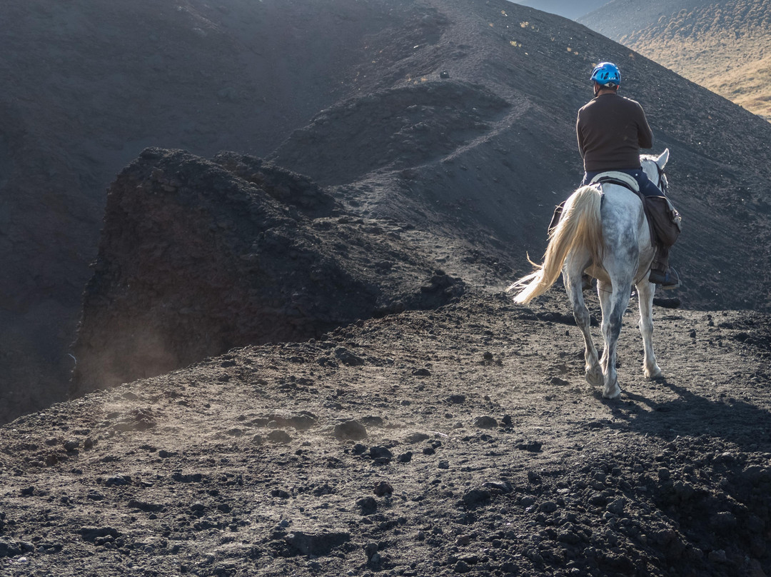 Sicily on horseback景点图片