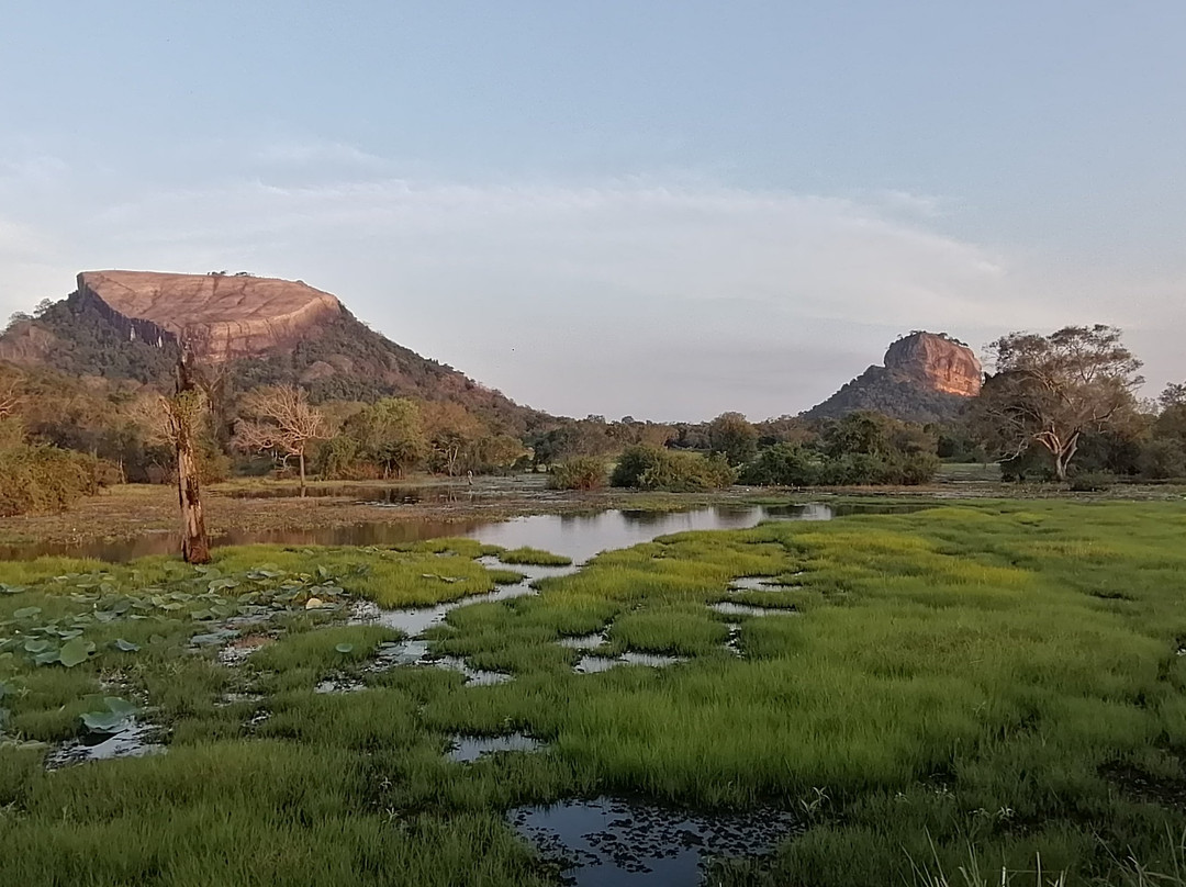 Ceylon Wild Trails Safari-哈巴拉娜必去景点
