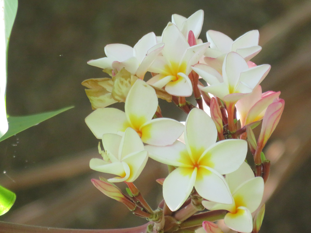 蝉之栈酒店主图