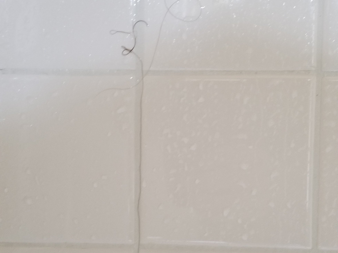 Holiday Inn Express & Suites Alice by IHG主图