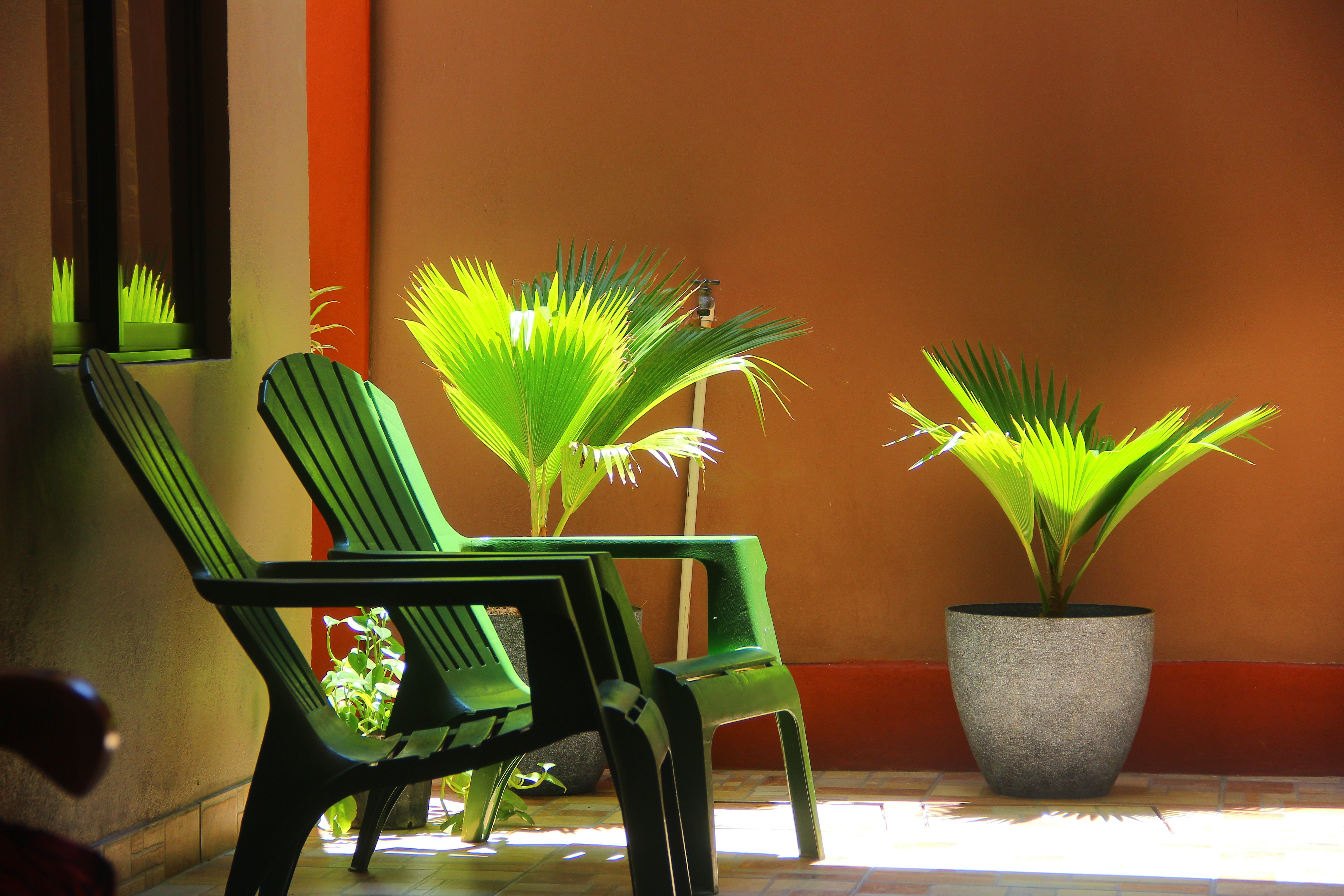 Cabinas Mansion Tropical-官方