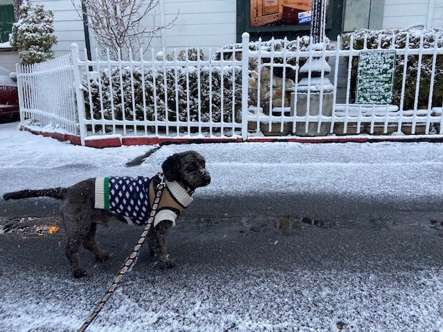 南太浩湖朵客别墅主图