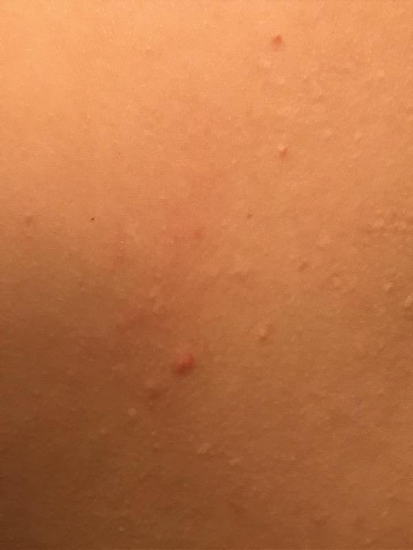 美国芝加哥长住酒店-莱尔主图