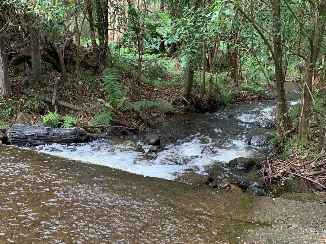 O'Shannassy Trail-华伯登必去景点