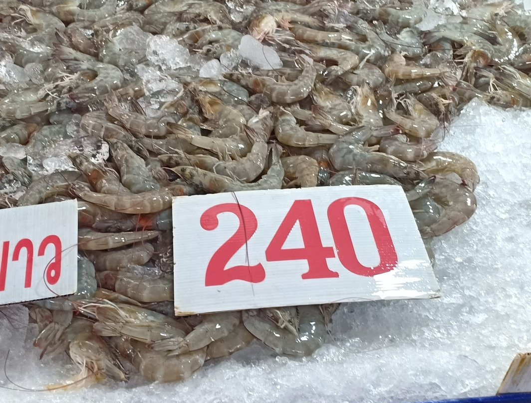 Fish Market Angsila-春武里必去景点