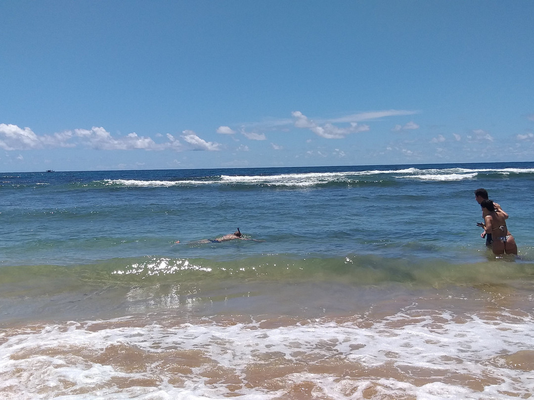 Dreamland Bungalows主图