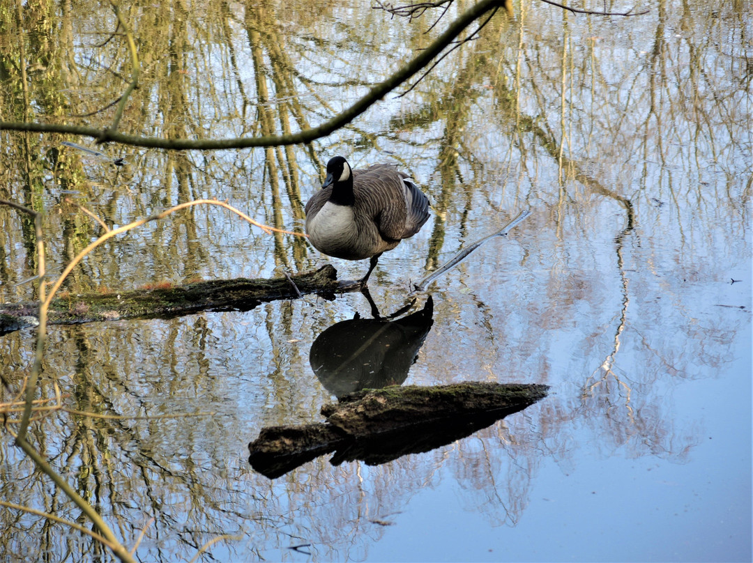 Fort 4-Mortsel必去景点