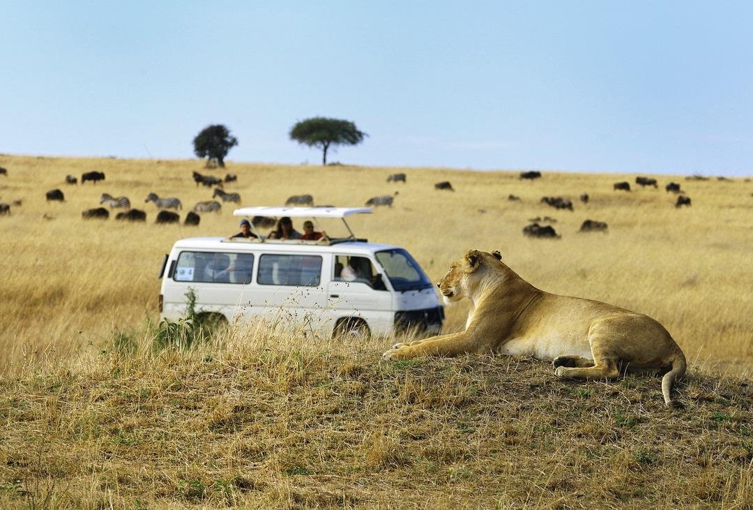 Safari Retreats Uganda-恩德培必去景点