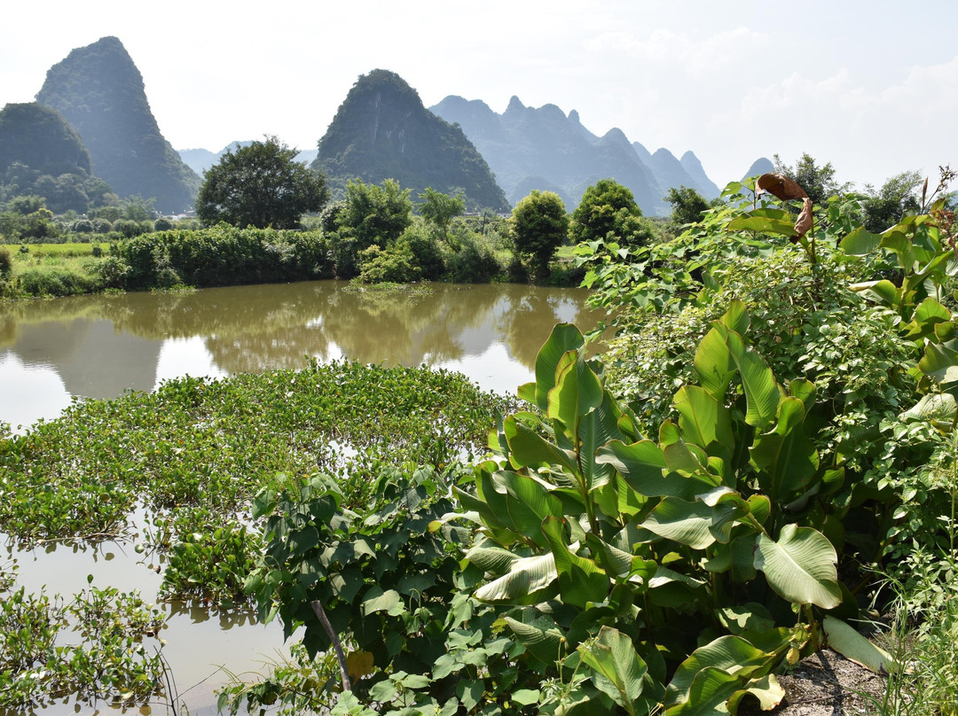 阳朔古迹山水园景点图片