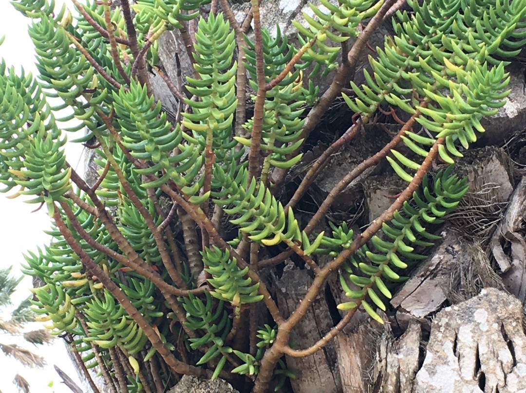 Vivenda Familia Pedro主图