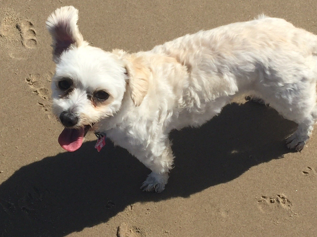 Stumers Creek-Coolum Beach必去景点