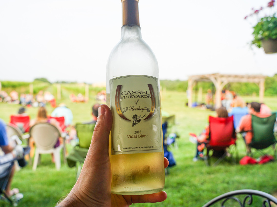 Cassel Vineyards of Hershey景点图片