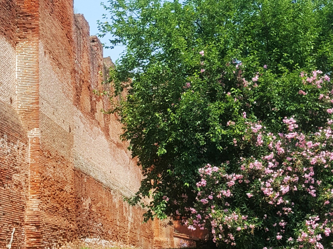 Mura Medioevali di Castelfranco Veneto景点图片