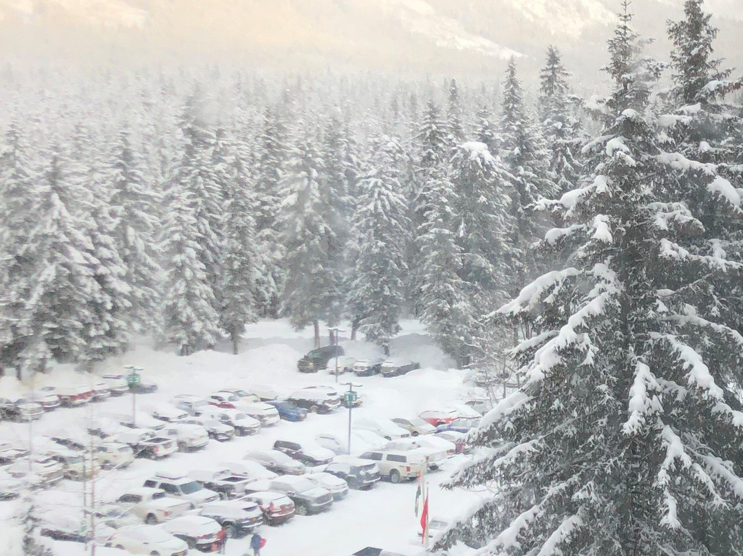 阿拉斯加酒店主图