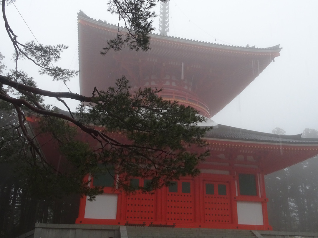 Koyasan Danjo Garan景点图片