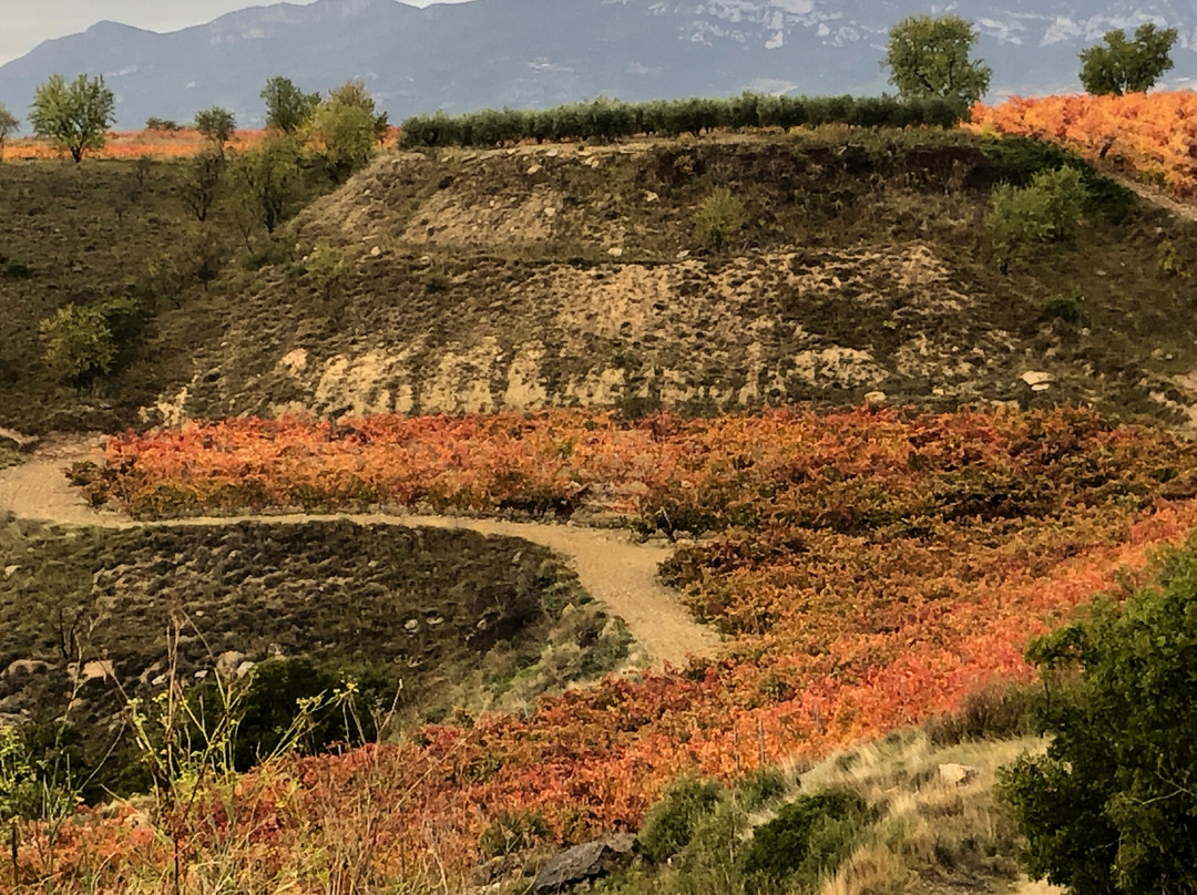 RunRioja-洛格罗尼奥必去景点