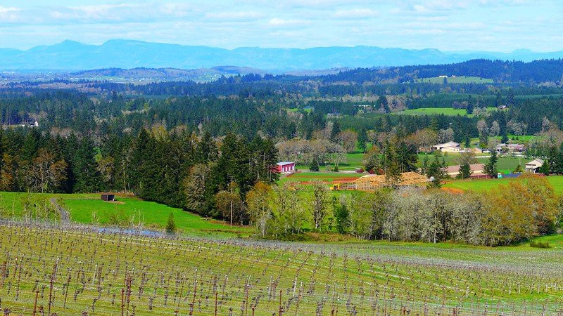 Sarver Winery-尤金必去景点