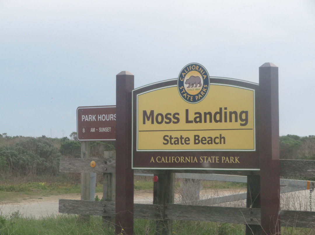 Moss Landing State Beach景点图片