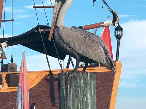 The Pirate Ship At John's Pass-马德拉海滩必去景点
