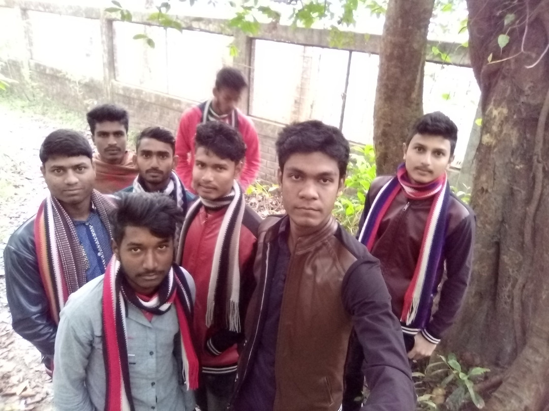 Madhupur National Park景点图片