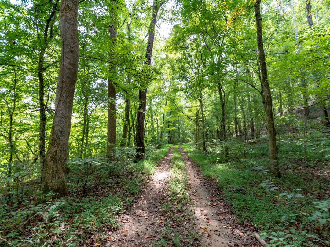 Kingston Downs-罗马必去景点