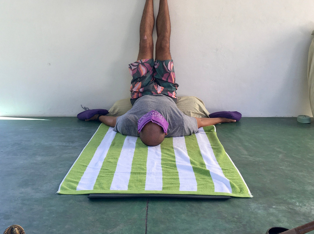 Satsang Yoga-大滩必去景点