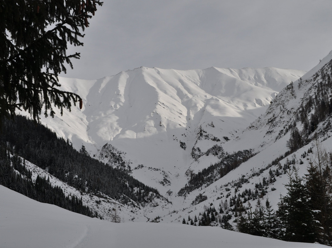 Gasthof Hochvogel主图