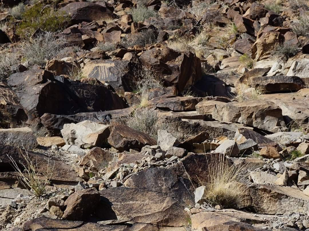 Sloan Canyon National Conservation Area-亨德森必去景点