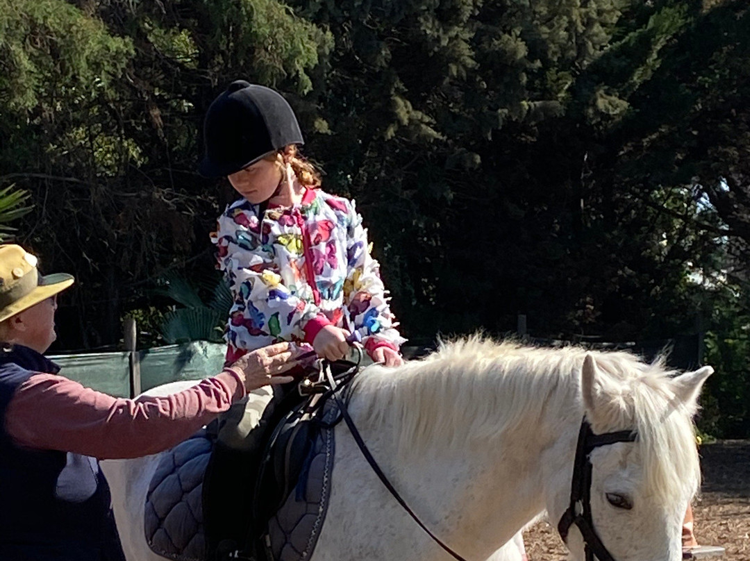 Pinetrees Horse Riding景点图片