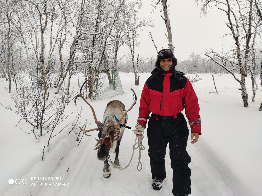 Visit Abisko-阿比斯库必去景点