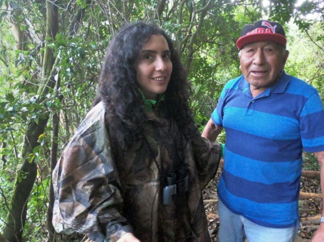 Lago Budi-Puerto Saavedra必去景点